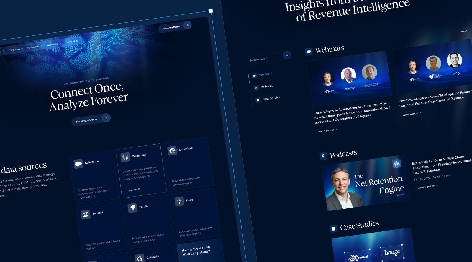 Website Design work for Reef AI